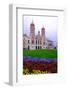 The Great Synagogue, Pilsen (Plzen), Western Bohemia, Czech Republic, Europe-Carlo Morucchio-Framed Photographic Print