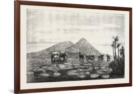 The Great Tank of Minery in the Island of Ceylon-null-Framed Giclee Print