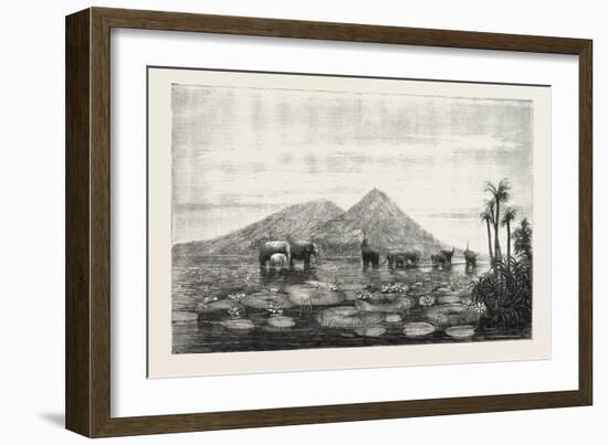 The Great Tank of Minery in the Island of Ceylon-null-Framed Giclee Print