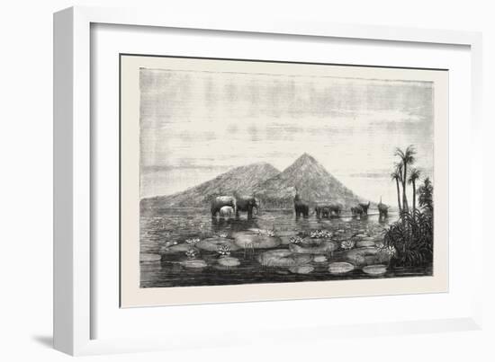 The Great Tank of Minery in the Island of Ceylon-null-Framed Giclee Print