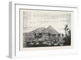The Great Tank of Minery in the Island of Ceylon-null-Framed Giclee Print