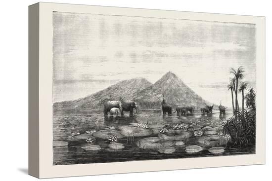 Stretched Canvas Print, , large