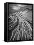 The Great Wall BW F-Moises Levy-Framed Stretched Canvas