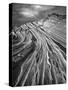 The Great Wall BW F-Moises Levy-Stretched Canvas