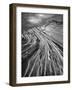 The Great Wall BW F-Moises Levy-Framed Photographic Print