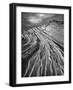 The Great Wall BW F-Moises Levy-Framed Photographic Print