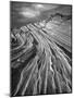 The Great Wall BW F-Moises Levy-Mounted Photographic Print