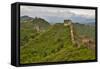 The Great Wall of China Jinshanling, China-Darrell Gulin-Framed Stretched Canvas