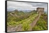 The Great Wall of China Jinshanling, China-Darrell Gulin-Framed Stretched Canvas