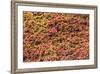 The Great Wall, Yanqing Geopark, Near Beijing, China-Stuart Westmorland-Framed Photographic Print
