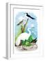 The Great White Egret-Theodore Jasper-Framed Art Print