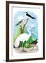 The Great White Egret-Theodore Jasper-Framed Art Print