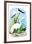 The Great White Egret-Theodore Jasper-Framed Art Print