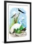 The Great White Egret-Theodore Jasper-Framed Art Print