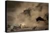 The Great Wildebeest Migration-Adrian Wray-Stretched Canvas