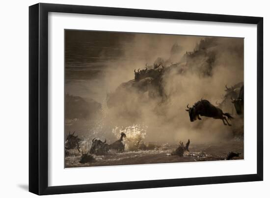 The Great Wildebeest Migration-Adrian Wray-Framed Premium Photographic Print