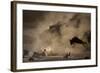 The Great Wildebeest Migration-Adrian Wray-Framed Photographic Print