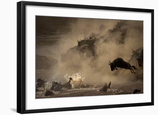 The Great Wildebeest Migration-Adrian Wray-Framed Photographic Print