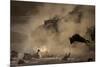 The Great Wildebeest Migration-Adrian Wray-Mounted Photographic Print