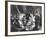 The Greatest Show On Earth, Gloria Grahame, Lyle Bettger, 1952-null-Framed Photo