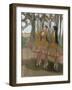 The Greek Dance, C.1881-Edgar Degas-Framed Giclee Print