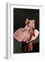 The Greek Goddess Aphrodite, 3rd Century-null-Framed Photographic Print