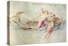 The Greek poet Arion riding the dolphin.  Around 1515. Watercolour on paper,14,2 x 23,4 cm.-Albrecht Dürer-Stretched Canvas