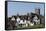 The Green and St. Mary's Church, Marlborough, Wiltshire, England, United Kingdom-Rolf Richardson-Framed Stretched Canvas