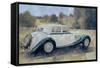 The Green and White Bentley at Althorp-Peter Miller-Framed Stretched Canvas