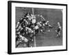 The Green Bay Packers Playing a Game-George Silk-Framed Premium Photographic Print