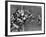 The Green Bay Packers Playing a Game-George Silk-Framed Premium Photographic Print