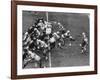 The Green Bay Packers Playing a Game-George Silk-Framed Premium Photographic Print