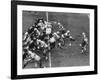 The Green Bay Packers Playing a Game-George Silk-Framed Premium Photographic Print