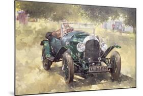 The Green Bentley at Althorp, 1994-Peter Miller-Mounted Giclee Print