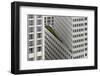 The green element-Dan Clausen Hansen-Framed Photographic Print