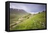 The green hills in bloom frame the medieval village, Castelluccio di Norcia, Umbria, Italy-Roberto Moiola-Framed Stretched Canvas