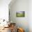 The green hills in bloom frame the medieval village, Castelluccio di Norcia, Umbria, Italy-Roberto Moiola-Photographic Print displayed on a wall