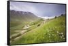 The green hills in bloom frame the medieval village, Castelluccio di Norcia, Umbria, Italy-Roberto Moiola-Framed Stretched Canvas