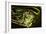 The Green Hornet-Alan Hausenflock-Framed Photographic Print