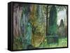 The Green Lady-Michael Chase-Framed Stretched Canvas