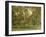 The Green Pool-Alfred East-Framed Giclee Print