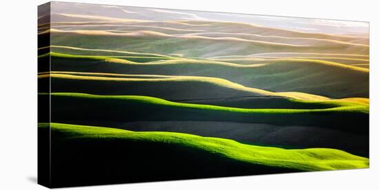 The Green Rolling Hills of the Palouse in Spring-Ben Herndon-Stretched Canvas