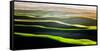 The Green Rolling Hills of the Palouse in Spring-Ben Herndon-Framed Stretched Canvas