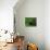The Green Room, 2007-Aris Kalaizis-Giclee Print displayed on a wall