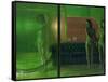 The Green Room, 2007-Aris Kalaizis-Framed Stretched Canvas