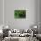 The Green Room, 2007-Aris Kalaizis-Giclee Print displayed on a wall