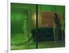 The Green Room, 2007-Aris Kalaizis-Framed Giclee Print