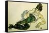 The Green Stockings, 1917-Egon Schiele-Framed Stretched Canvas
