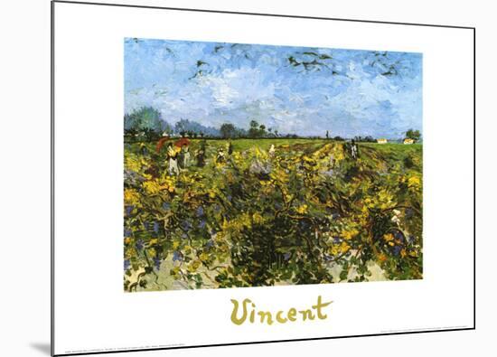 The Green Vineyard-Vincent van Gogh-Mounted Art Print