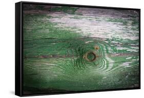 The Green Wood Texture with Natural Patterns-Madredus-Framed Stretched Canvas